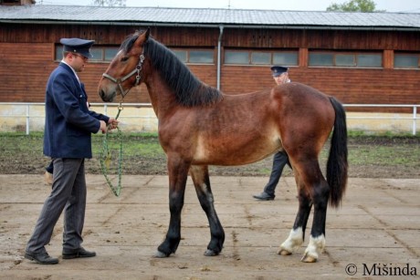 05 - SN 20/214 BRYNET DUBSKÝ