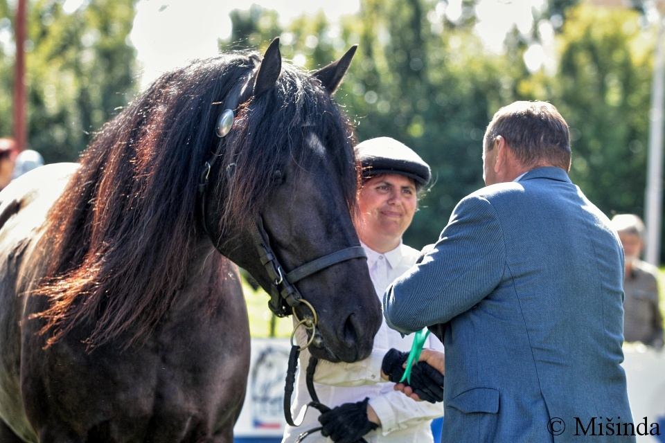 58 - klisna 63/80 KORA - 5. místo