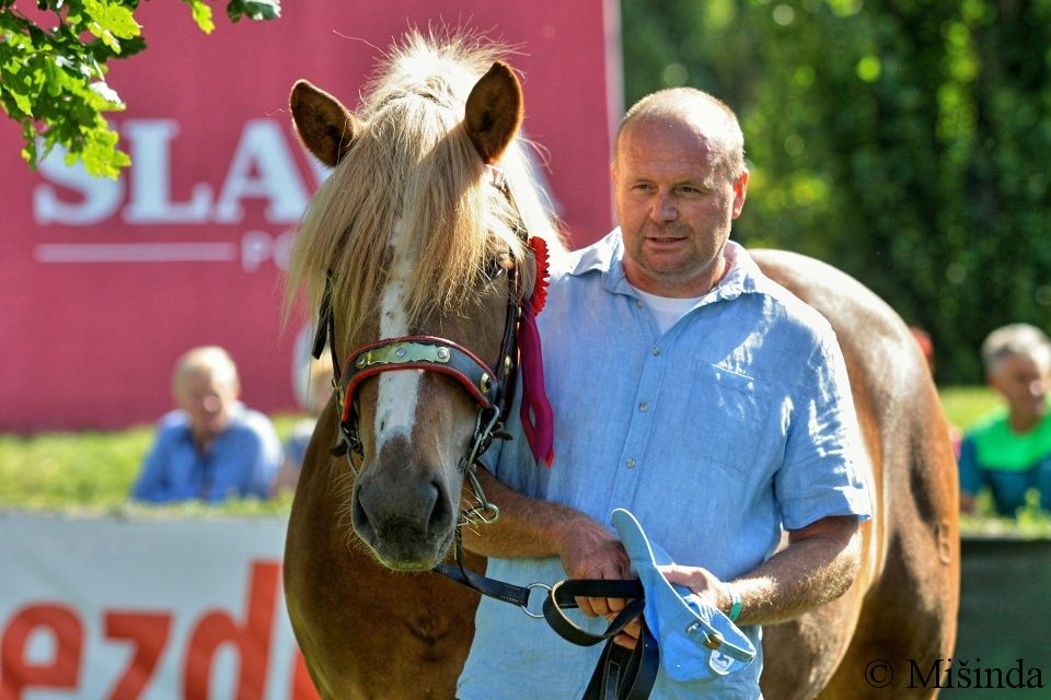 60 - klisna 63/74 ARANKA - 3. místo