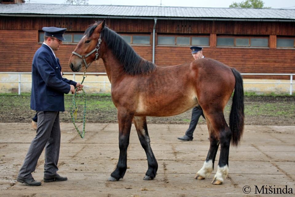 05 - SN 20/214 BRYNET DUBSKÝ