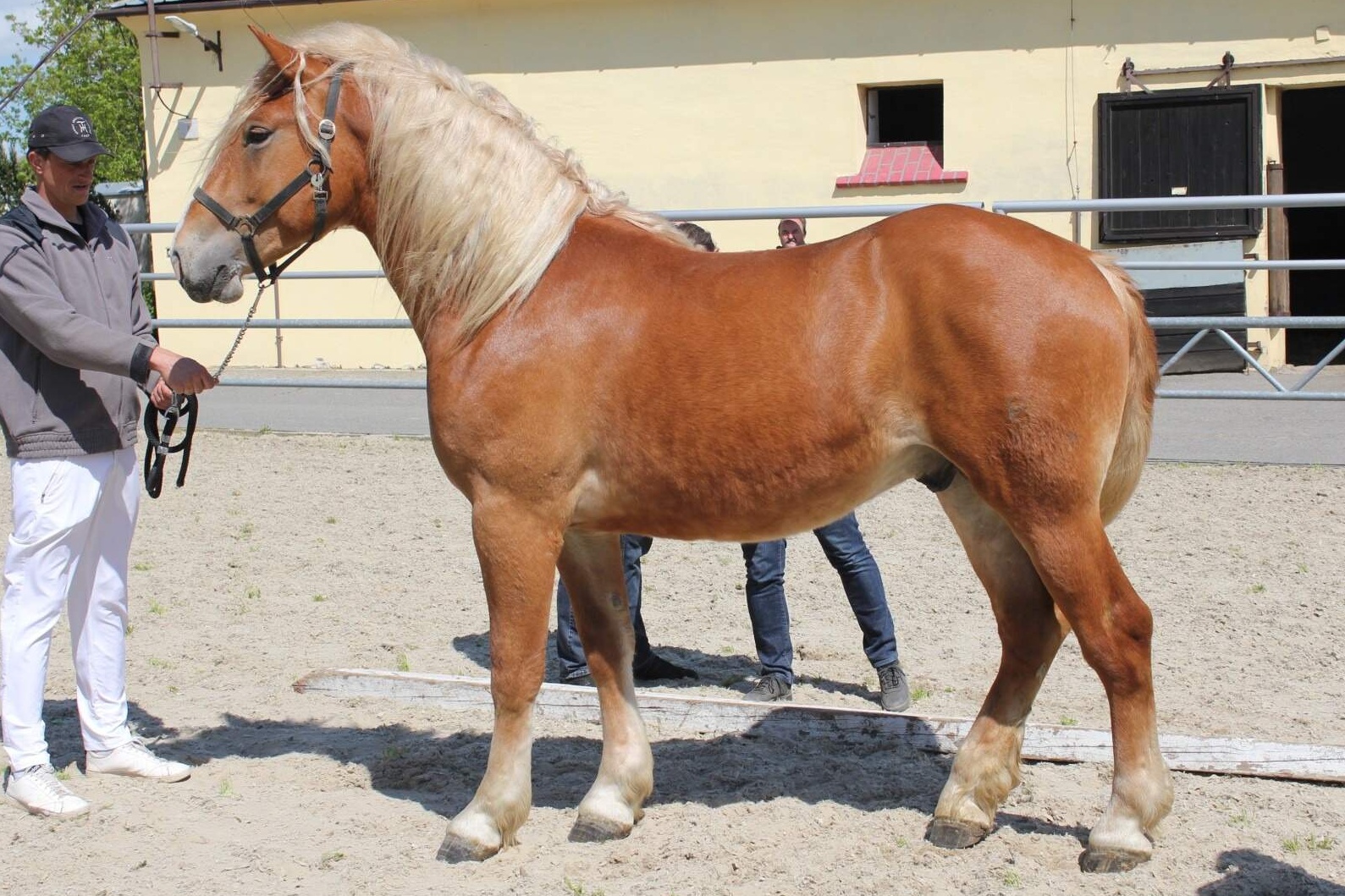 10 - ČMB 65/908 BUREK