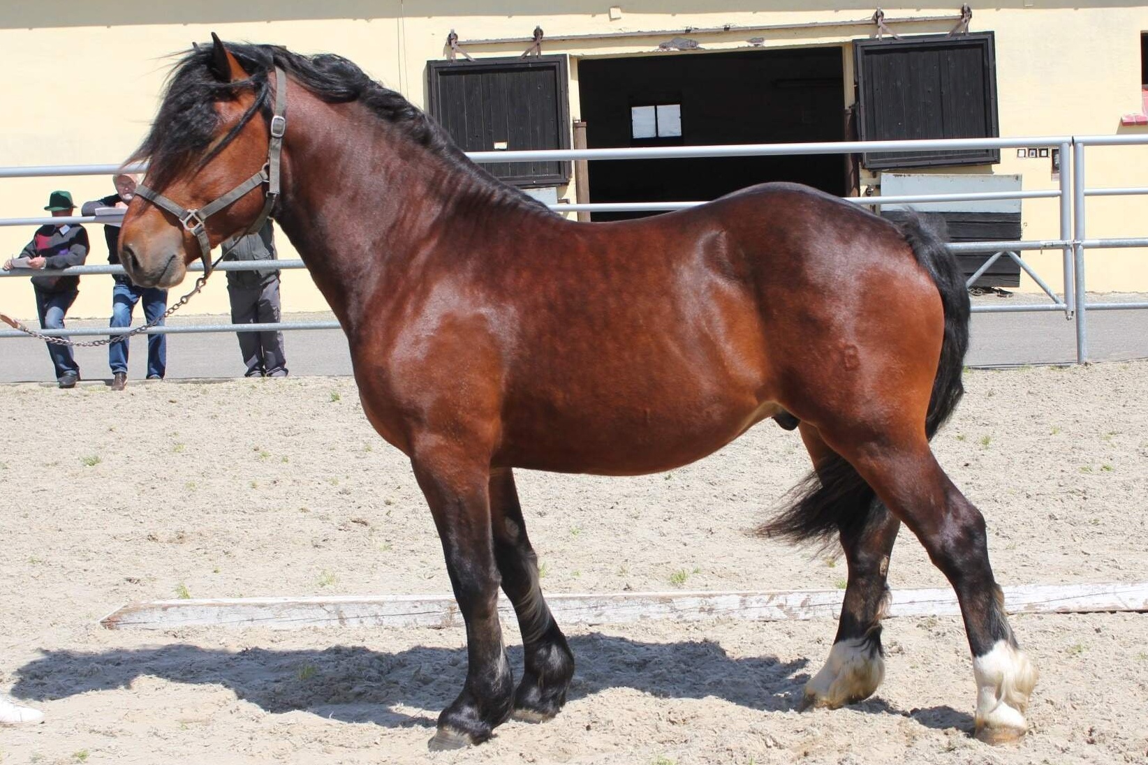 12 - ČMB 64/44 PERY