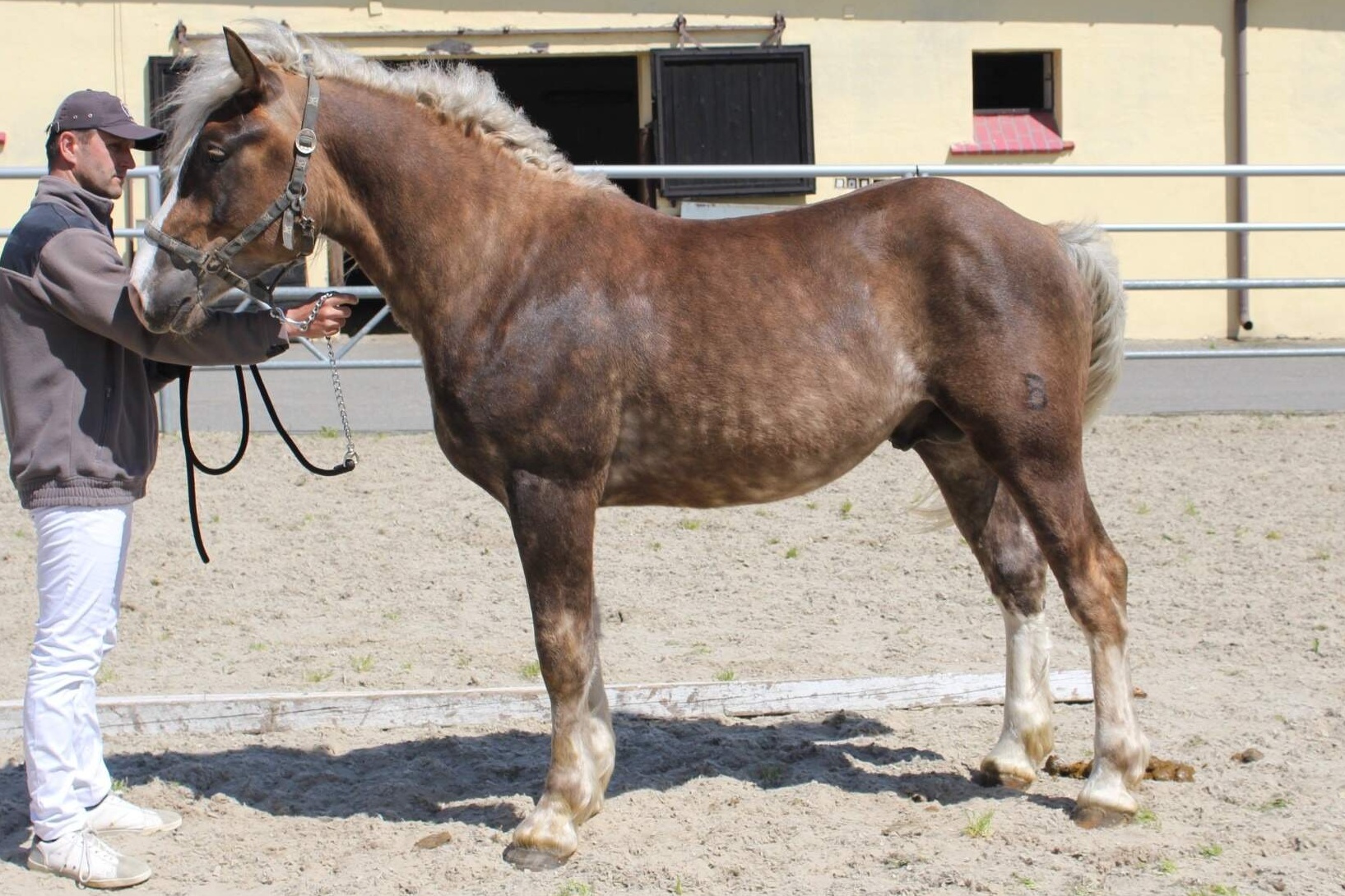 13 - ČMB 54/315 SIMÍR