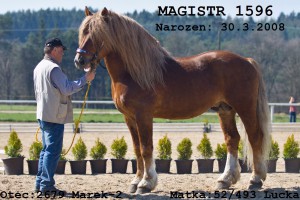 img_6576-magistr-cedulka.jpg